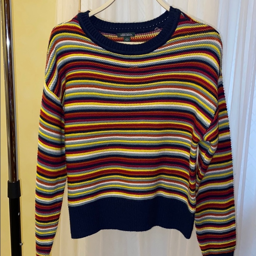 Wild fable striped sweater